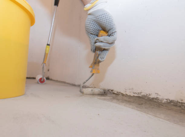 Best Pest Exclusion Services  in Itasca, IL